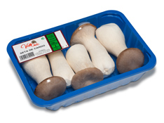 King Oyster Mushroom