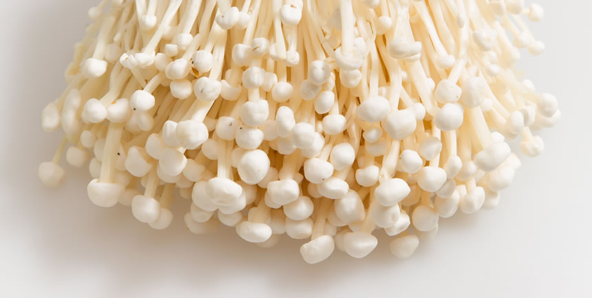 Enoki
