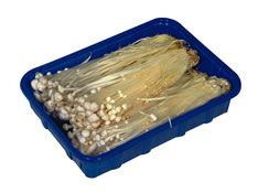 Enoki